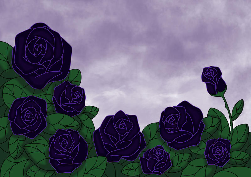 Black Roses One Piece Black Roses by The-Black-Clover on DeviantArt