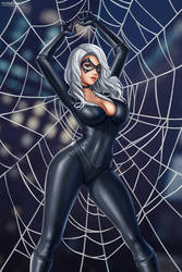 Black Cat