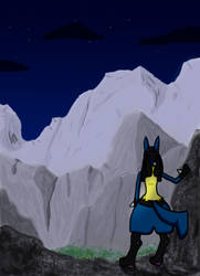 Lucario's night