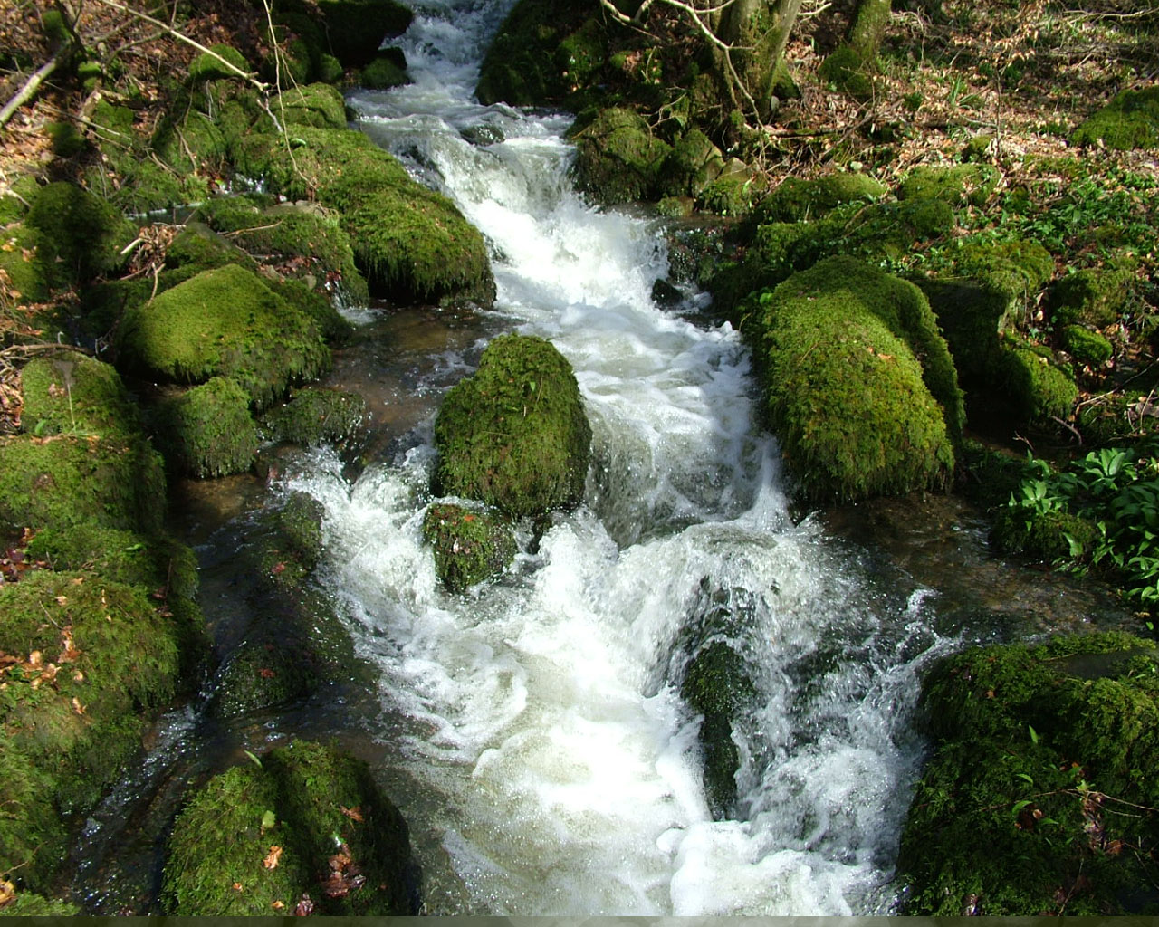 Waterfall over moss