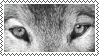 Monochrome Wolf Eyes Stamp (And other colors)