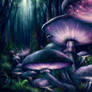 Living Mushrooms