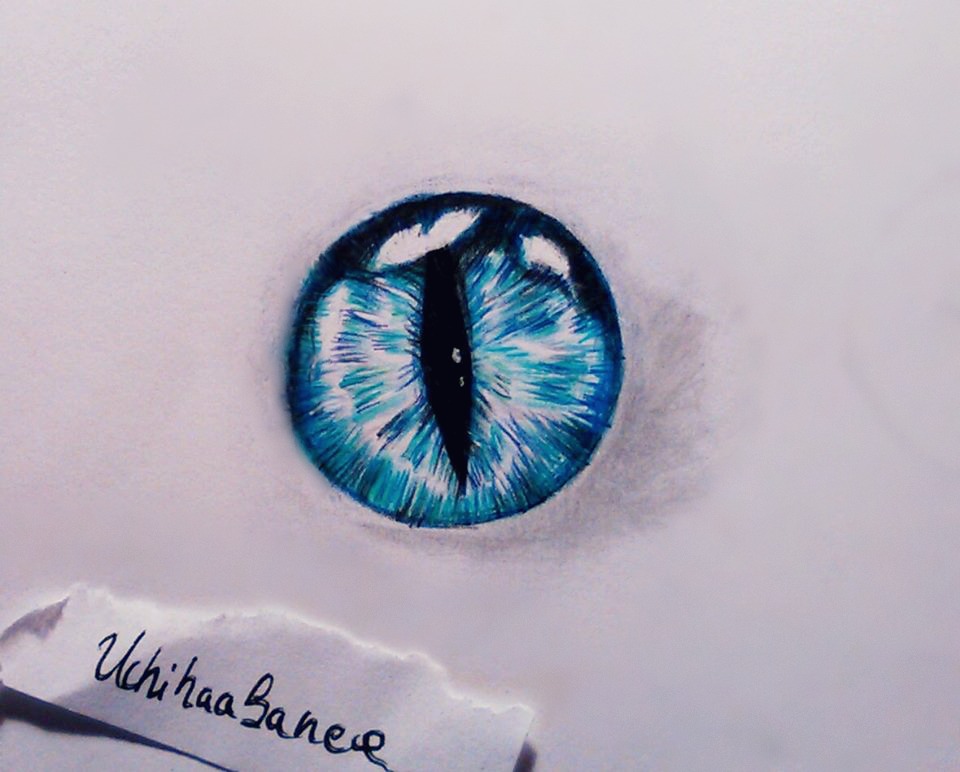 Naruto-eyes by UchihaAkanee on DeviantArt