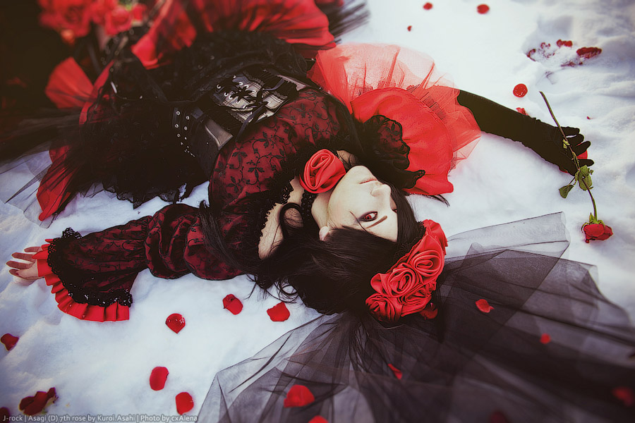 Asagi 7th Rose Winter 3