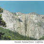 Yosemite National Forest