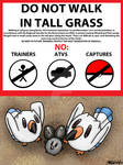 PKMN-ORAS Hype--Please Don't Step on the Wingull by Dr-Kineil-Wicks