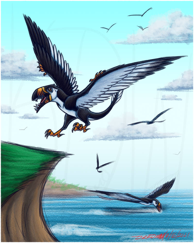 Dimorphodon Seabirb by Dr-Kineil-Wicks on DeviantArt