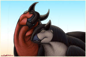 Happy Bulls