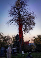 Adornment for the Dead