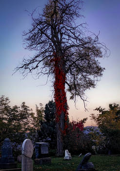 Adornment for the Dead