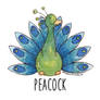 Peacock