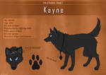 EoA refs - Kayne - chapter I