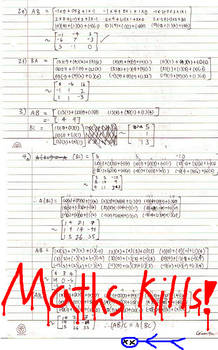 Maths Kills