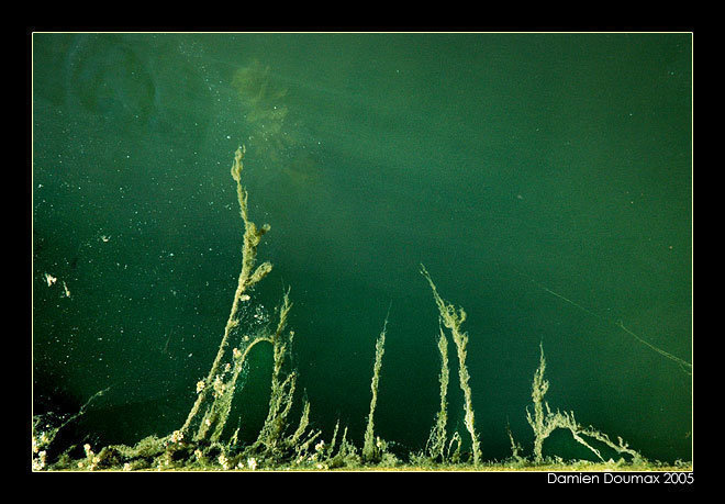 Journey under water