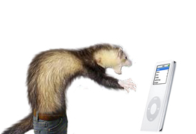 Ferret Pants