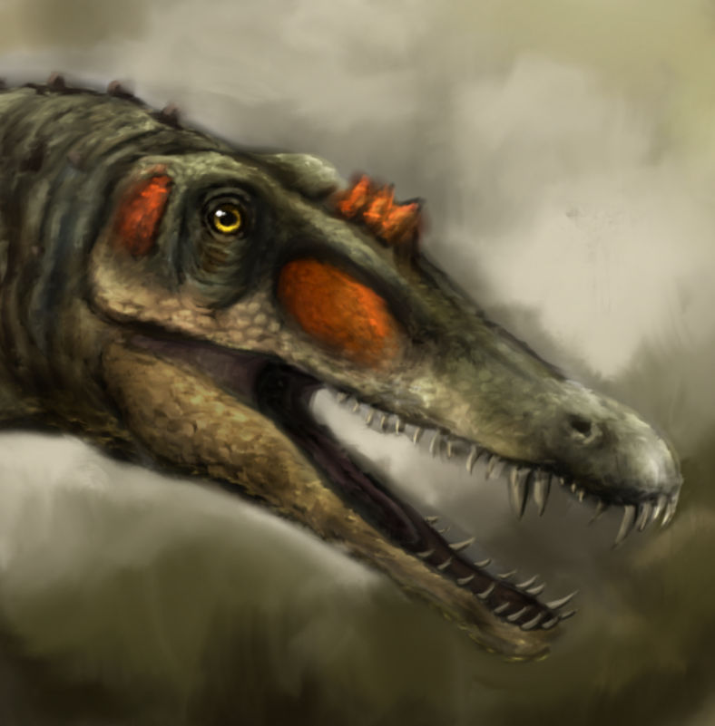 Outdated Spinosaurus Planet Dinosaur Spinosaurus (OLD) by duranosaur on DeviantArt