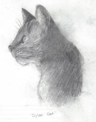 Dylan Cat
