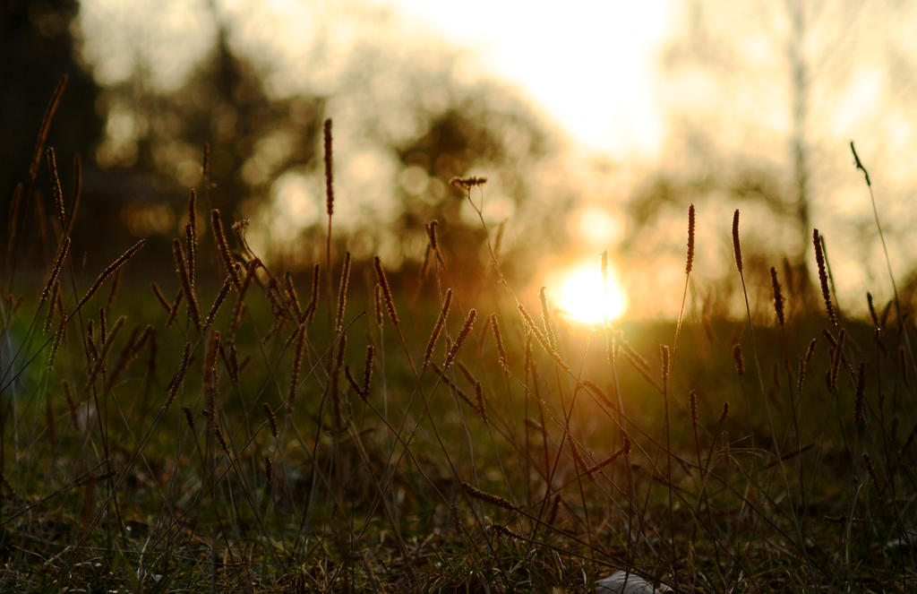 In the Sun