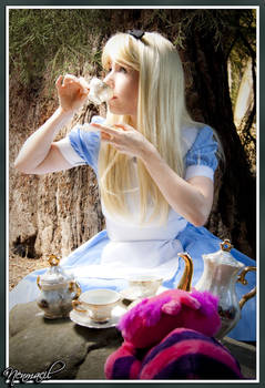 Tea Party Alice