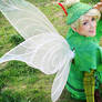 tinkerbell  the lost treasure