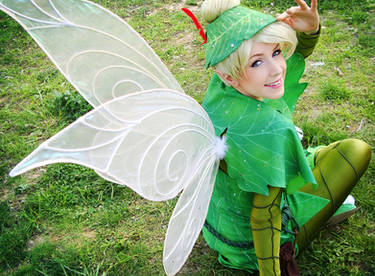 tinkerbell  the lost treasure