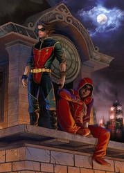 Flash and robin