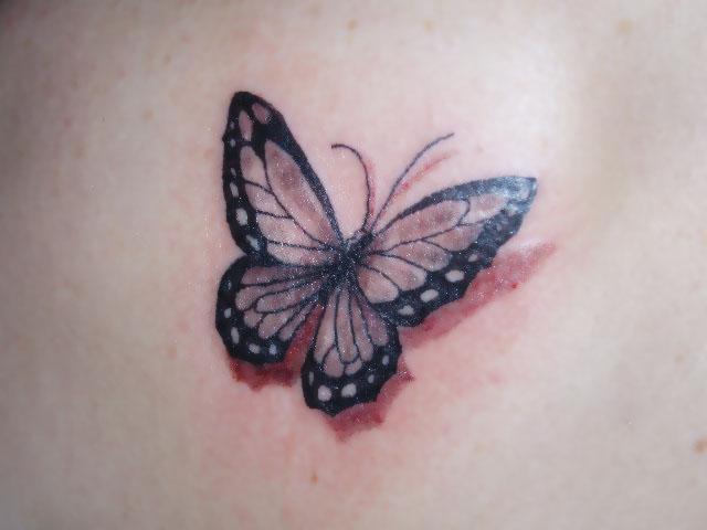 Butterfly