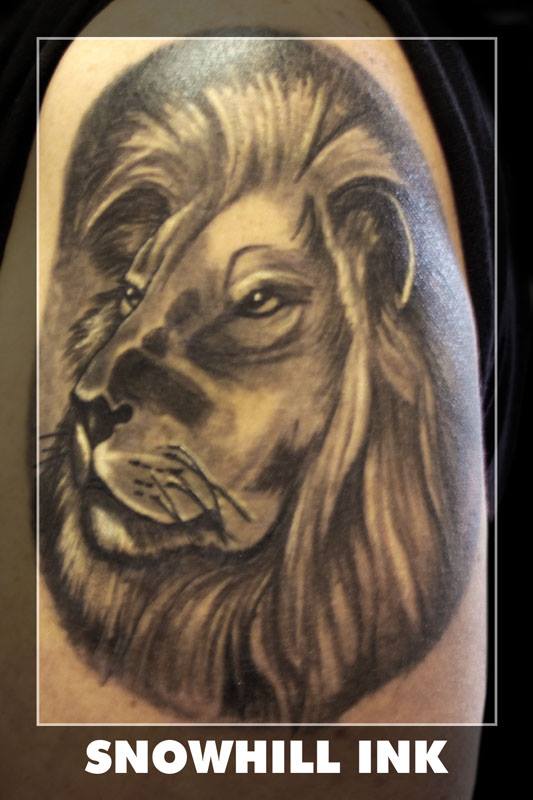 Lion