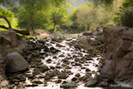 Desert stream at Bighorn by XanthicAmber