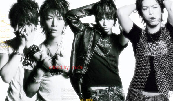 kame wallpaper for netbook