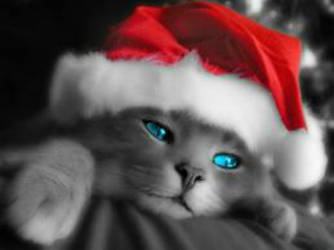 SantaKitty