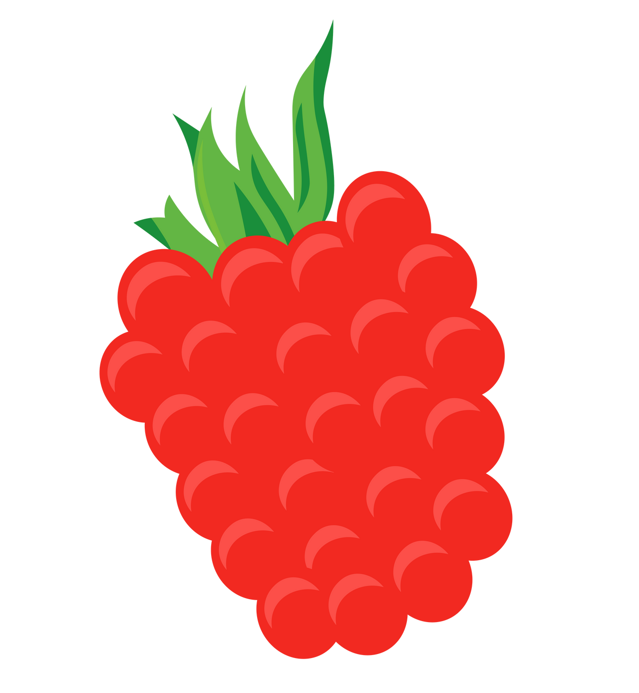 Raspberry by bvo23 on DeviantArt