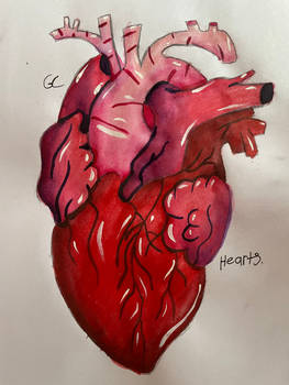 Hearts