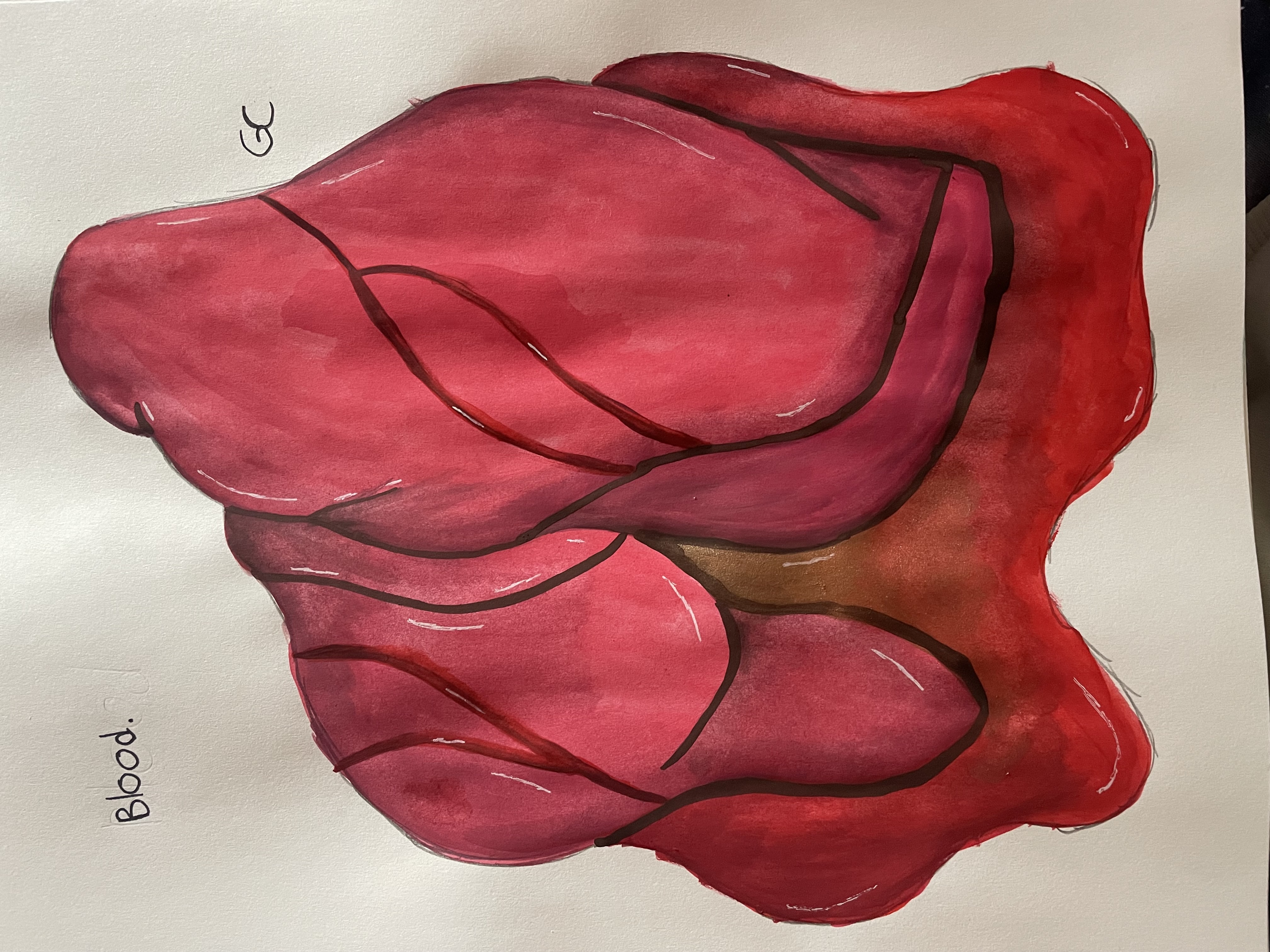 Blood Splatter Deviantart Blood by Gillian9813 on DeviantArt