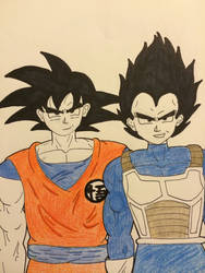 DBZ: Goku and Vegeta