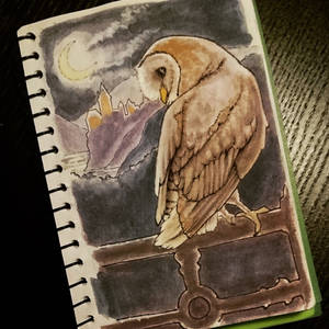 Daily Doodle - Hedwig