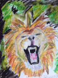 Extravagant lion