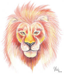 Leon Lapises de colores  - Lion Color Pencils