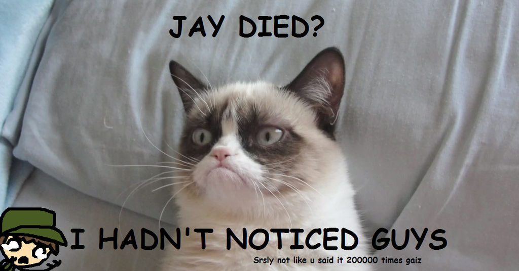 Grumpy Cat 1