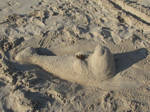 Manatee Sand Sculpture by evil-panda0404