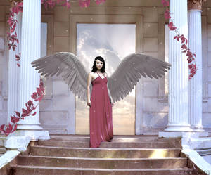 Angel by Mylene-C