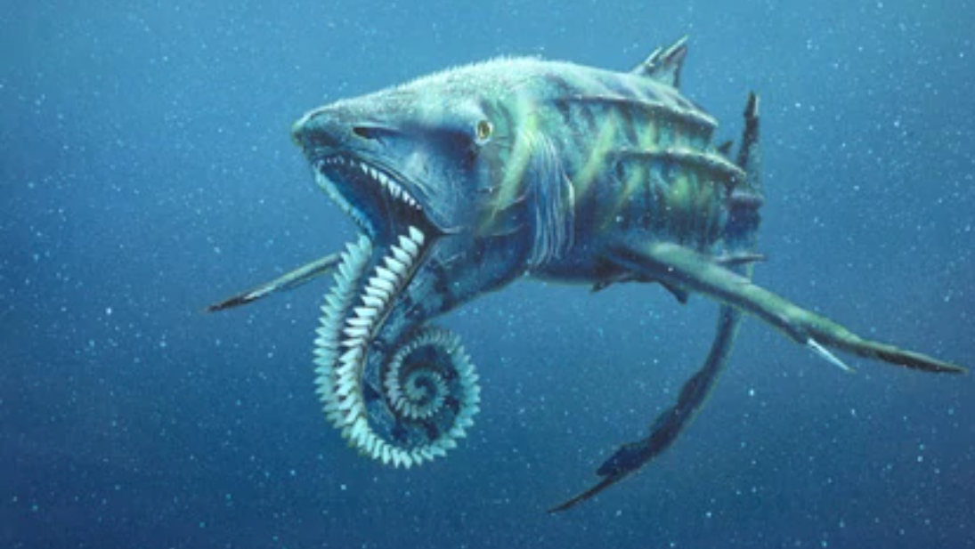 Heliprocon Bizarre Biology : Helicoprion Shark by Aliendemonfox on DeviantArt