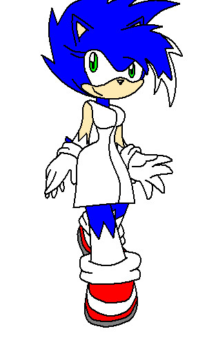 NEW Nitro the hedgehog