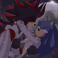 Sonic and shadow