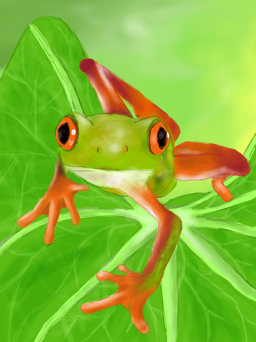 tree frog