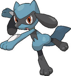 riolu