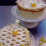 Mandarin Yoghurt Gateaux