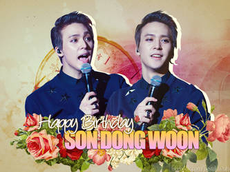 HPBD Son Dongwoon