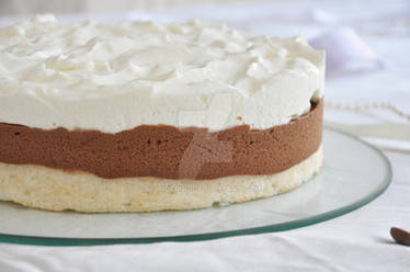 chocolate and coconut mousse cake