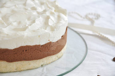 chocolate and coconut mousse cake 2